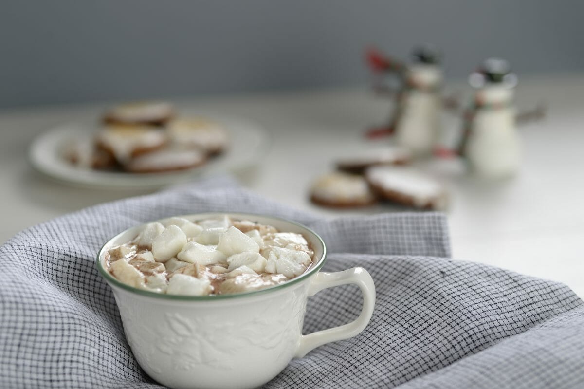 Peppermint Hot Chocolate - Tanya's Kitchen